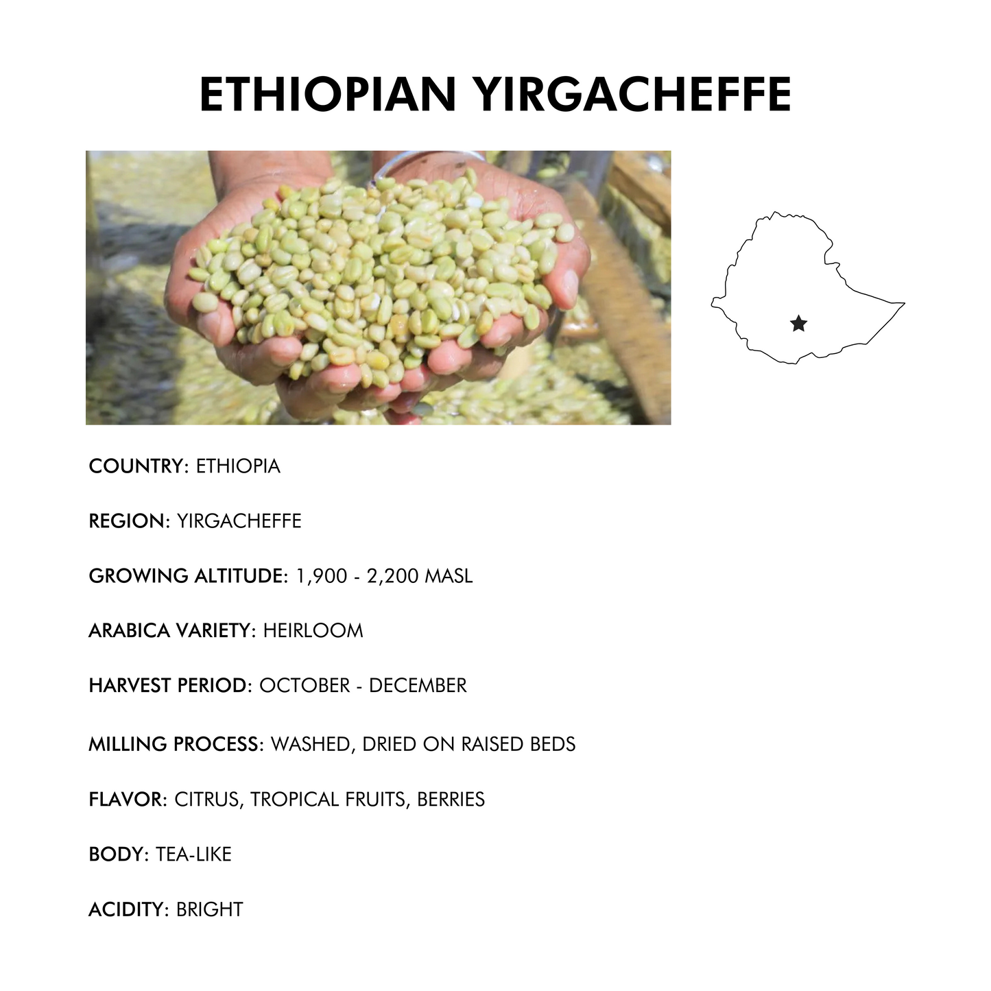 Ethiopian Yirgacheffe (Love Life Coffee) Fair Trade and Organic
