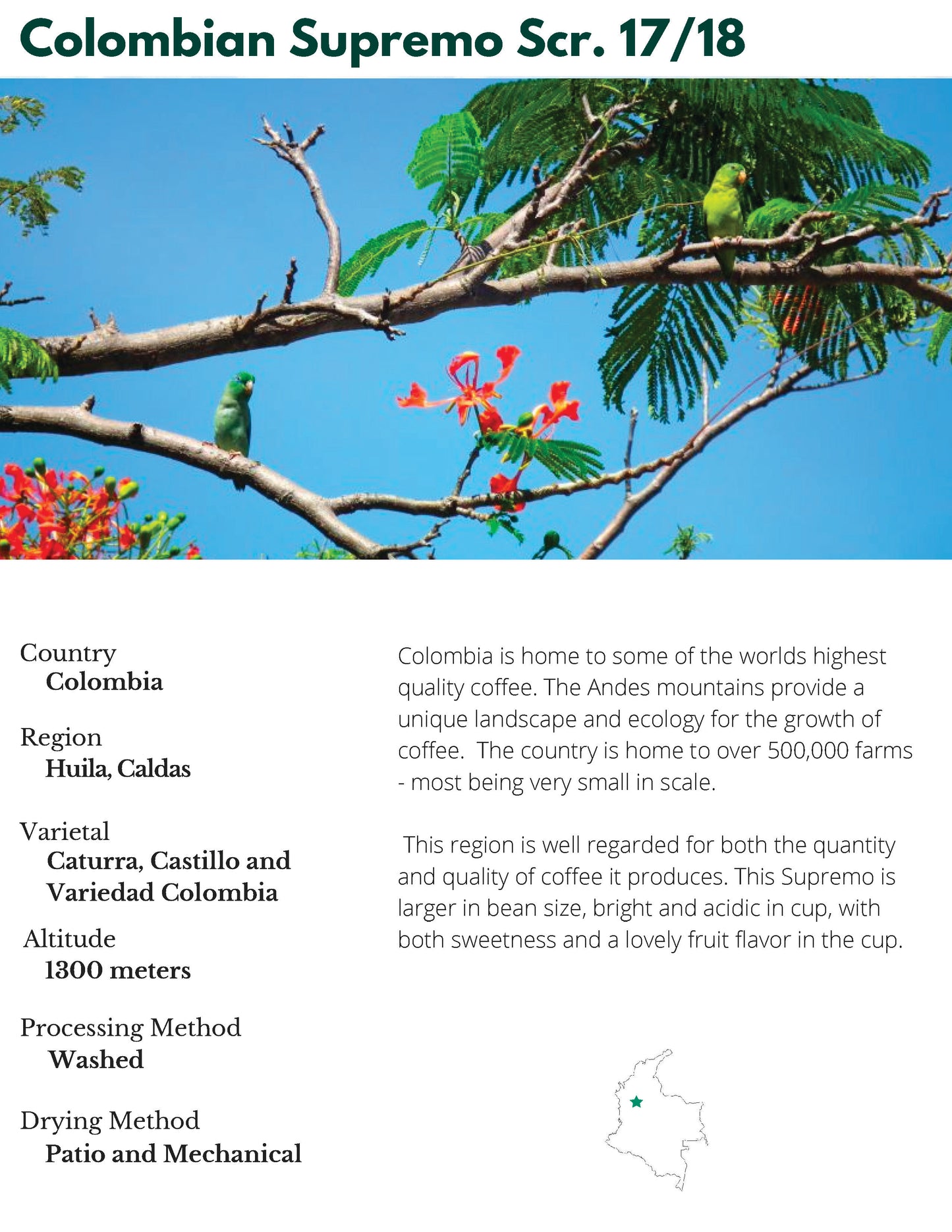 Colombian Supremos (Love Life Coffee)